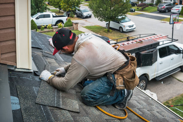 Professional Storm Damage Roof Repair technician working in Preston, MN